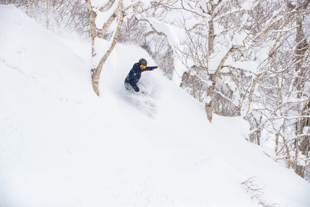 Japan Ski Experience Wins at the Travel Daily Media Awards